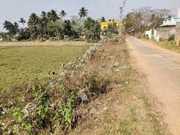 3000 sqft Residential Land For Sale In Chintamaniswar Bhubaneswar
