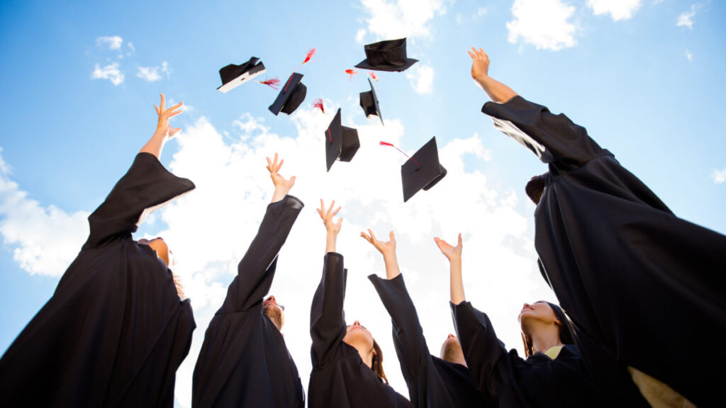 Are you a college undergraduate or postgraduate student seeking a nursing care plan writing service?