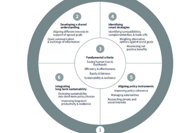 Strategy Choices and Long Term Plans