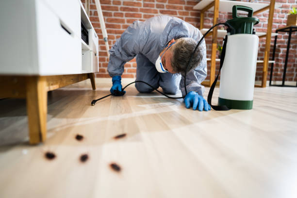 cockroach control in New York
