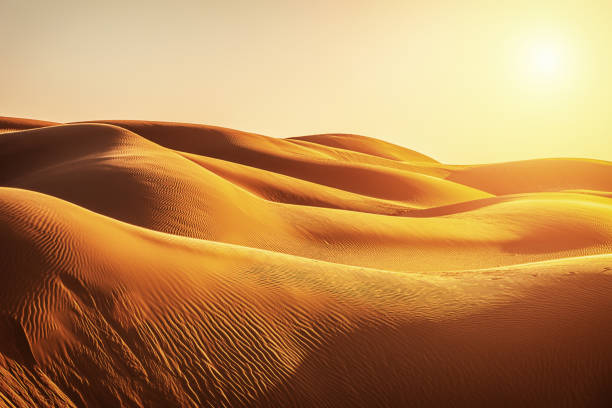 desert