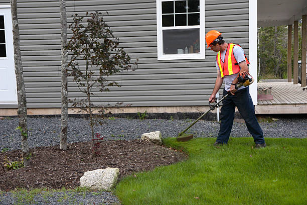 landscaping services in Santa Maria CA