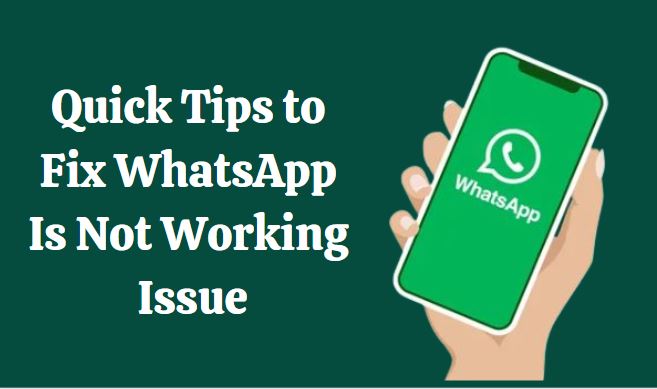 WhatsApp not working
