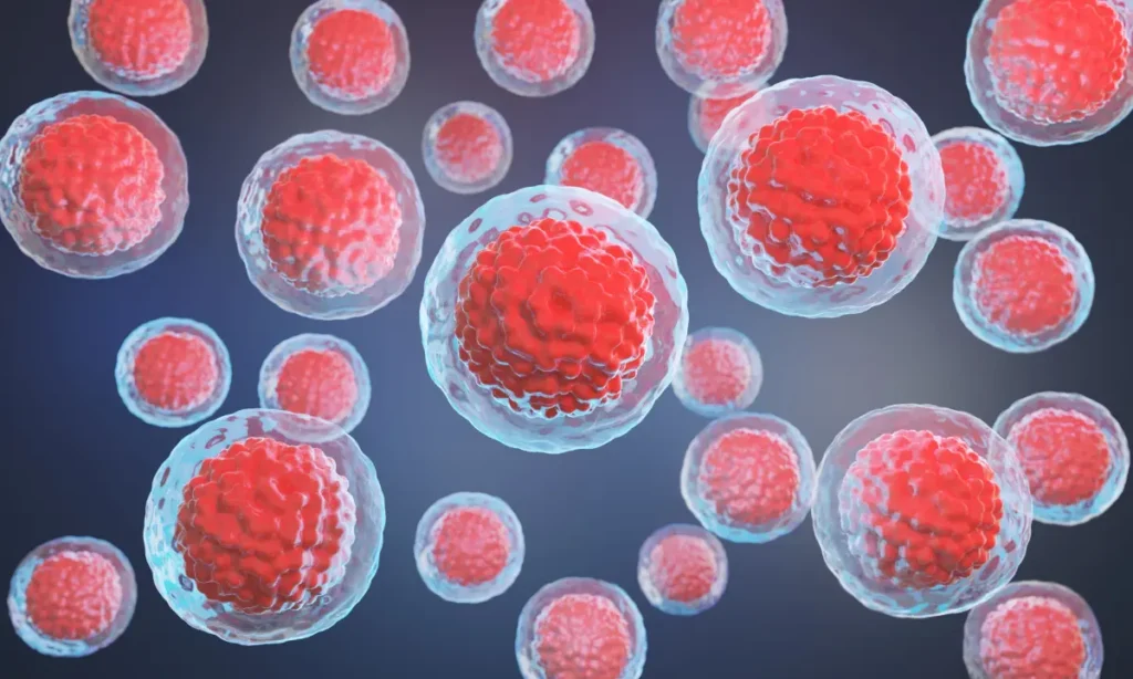 Stem Cell Treatment and Modern Procedures